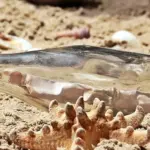 Er det nødvendigt at bruge læderrens på alle mine læderprodukter?