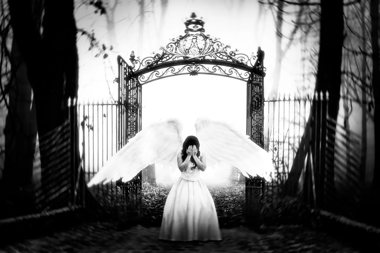 Sådan finder du den rette tagrenovering til familiens bolig